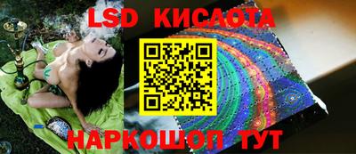 гашик Бузулук