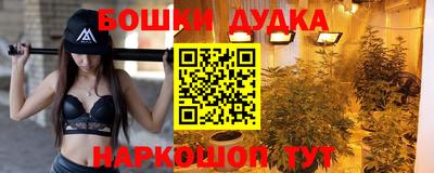 гашик Бузулук