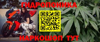 гашик Бузулук