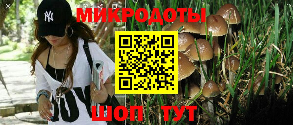 Галлюциногенные грибы Cubensis  Вход с VPN  Семёнов 